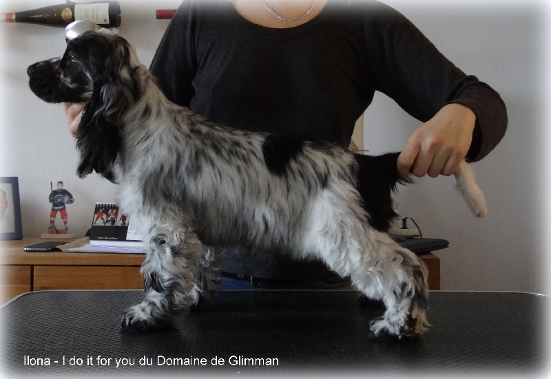 I do it for you du Domaine de Glimman