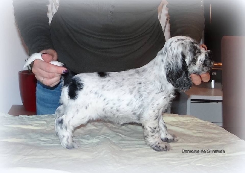 I do it for you du Domaine de Glimman