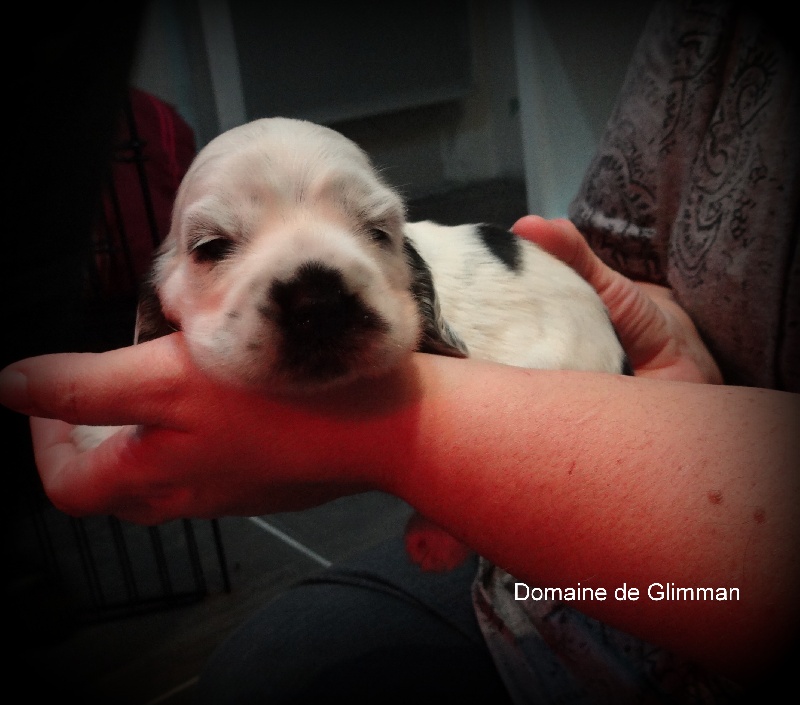 I do it for you du Domaine de Glimman