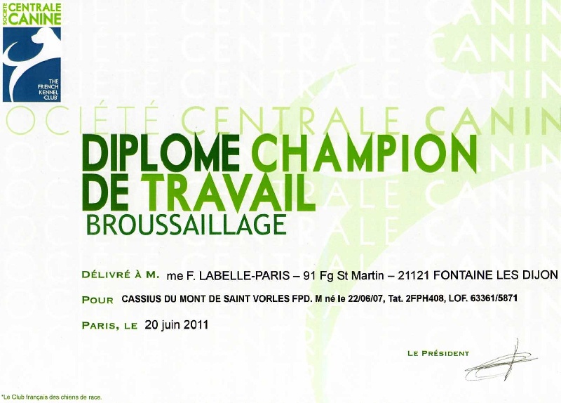 CH. Cassius du mont de saint vorles