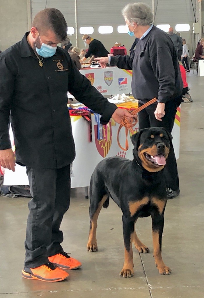 Pyrat-pearl Vom Weinberges Der Hunde