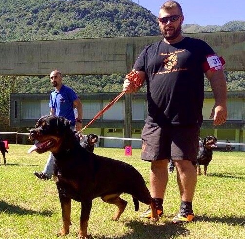 CH. I ' smoke Vom Weinberges Der Hunde - V5