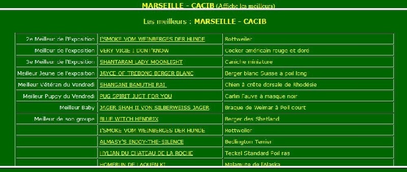 CH. I ' smoke Vom Weinberges Der Hunde - 1 ère excellent +CAC+CACIB+BOB+1ere du BOG+2ème du BEST IN SHOWS