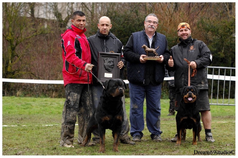 CH. I ' smoke Vom Weinberges Der Hunde - V1 + BEST FEMELLE + BOB