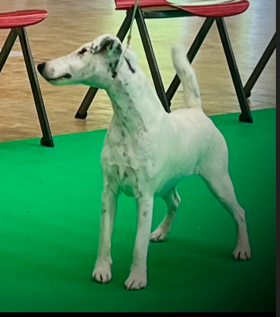 Victoire Chelines De La Rivière Landelot