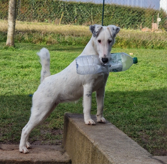 Victoire Chelines De La Rivière Landelot