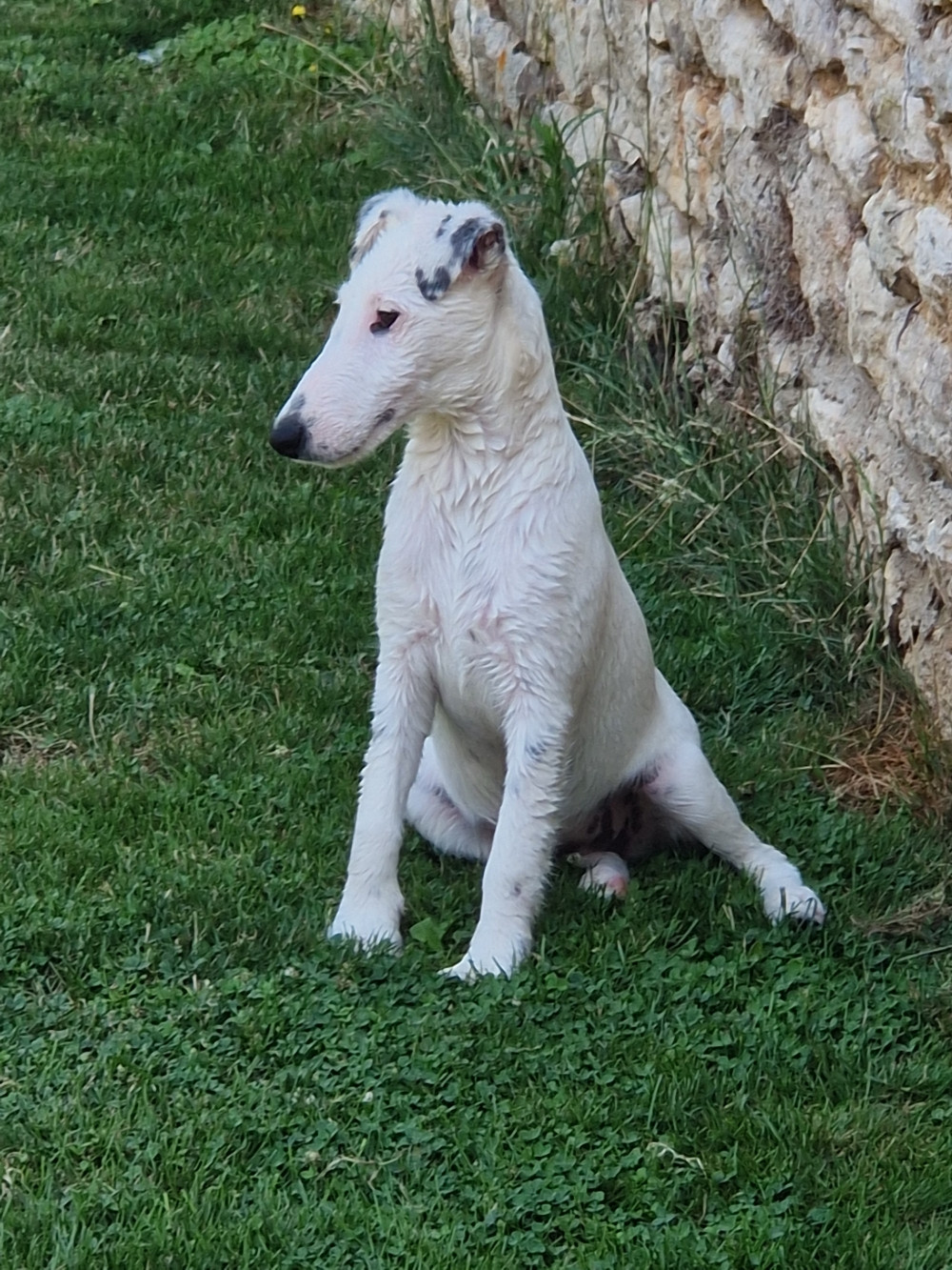 Victoire Chelines De La Rivière Landelot