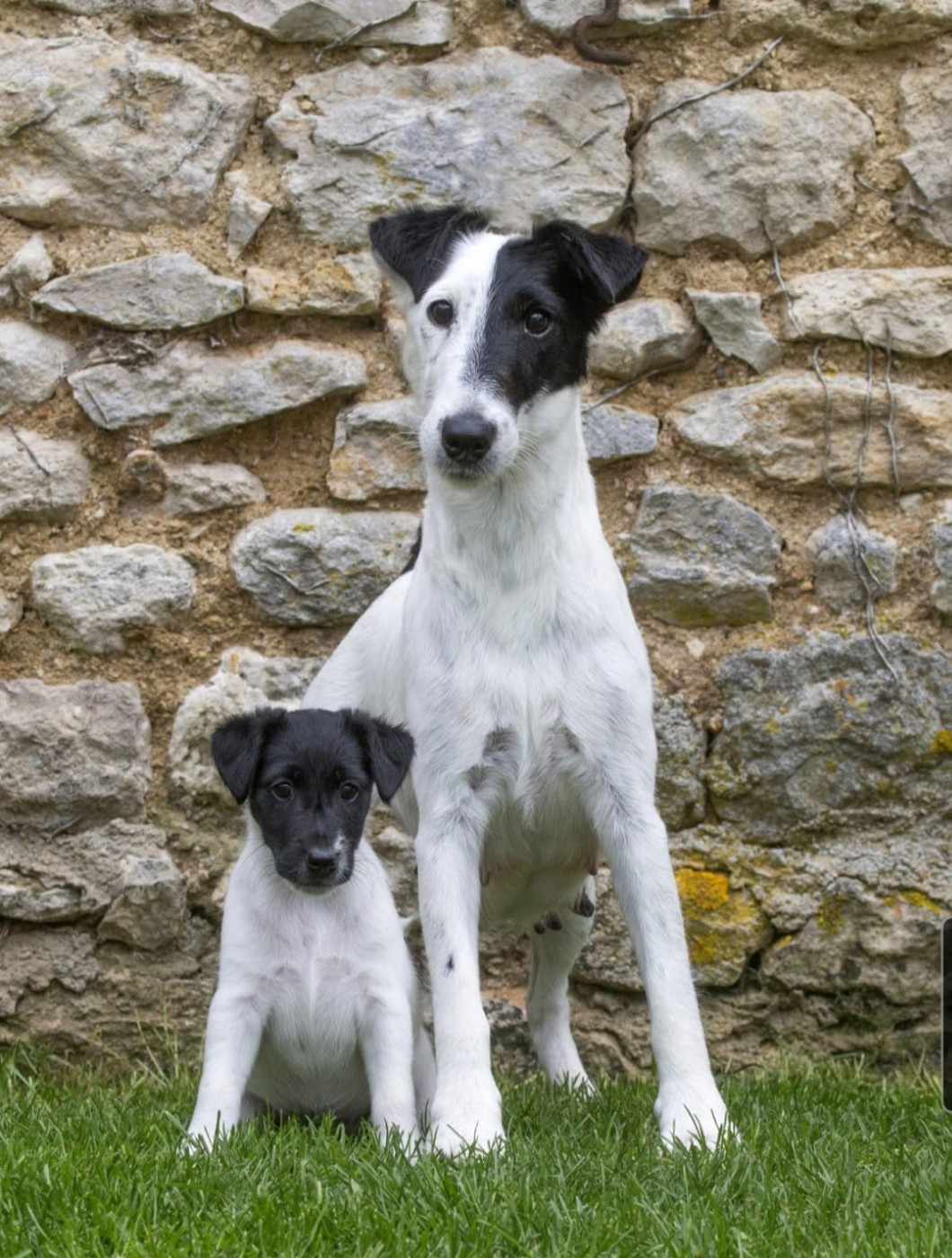 Pearl De La Rivière Landelot