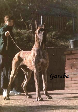 Publication : De garaba