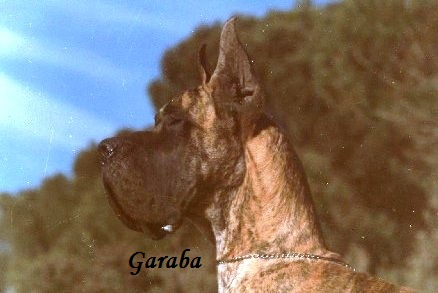 Publication : De garaba