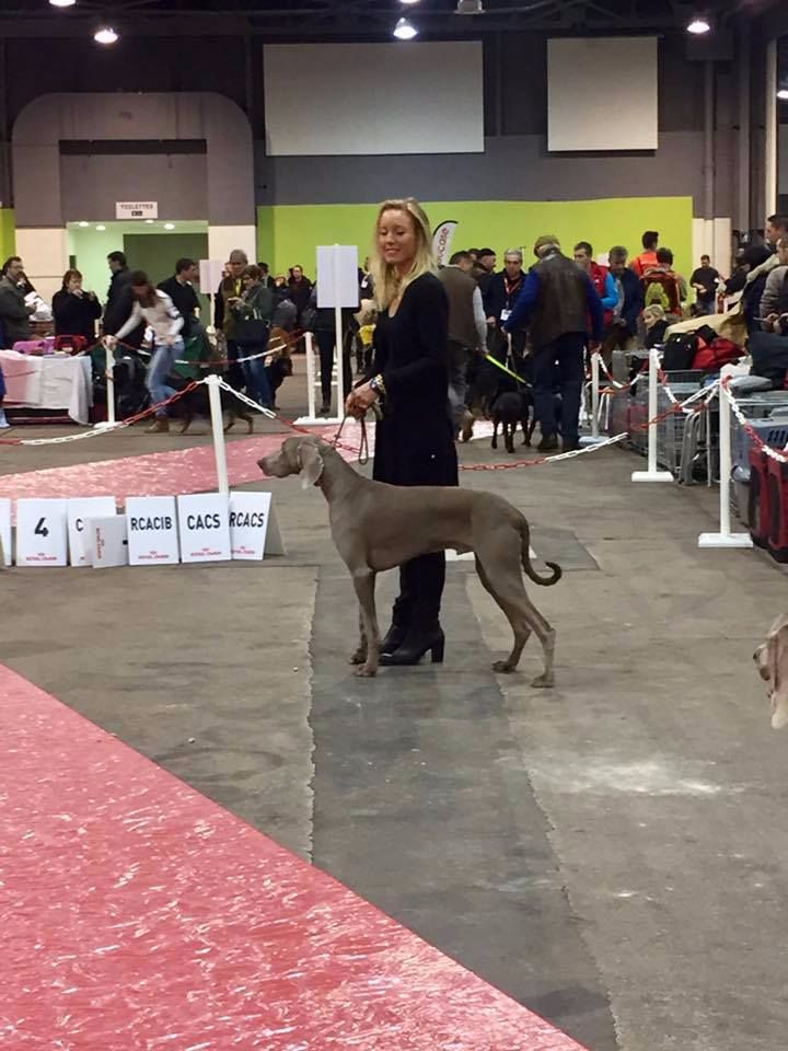 Major Des Fantômes Gris De La Sélune - 2 TB