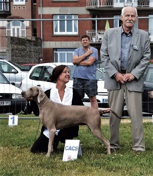 TR. CH. Hyona Des Fantômes Gris De La Sélune - 1 Exc CACS BOS