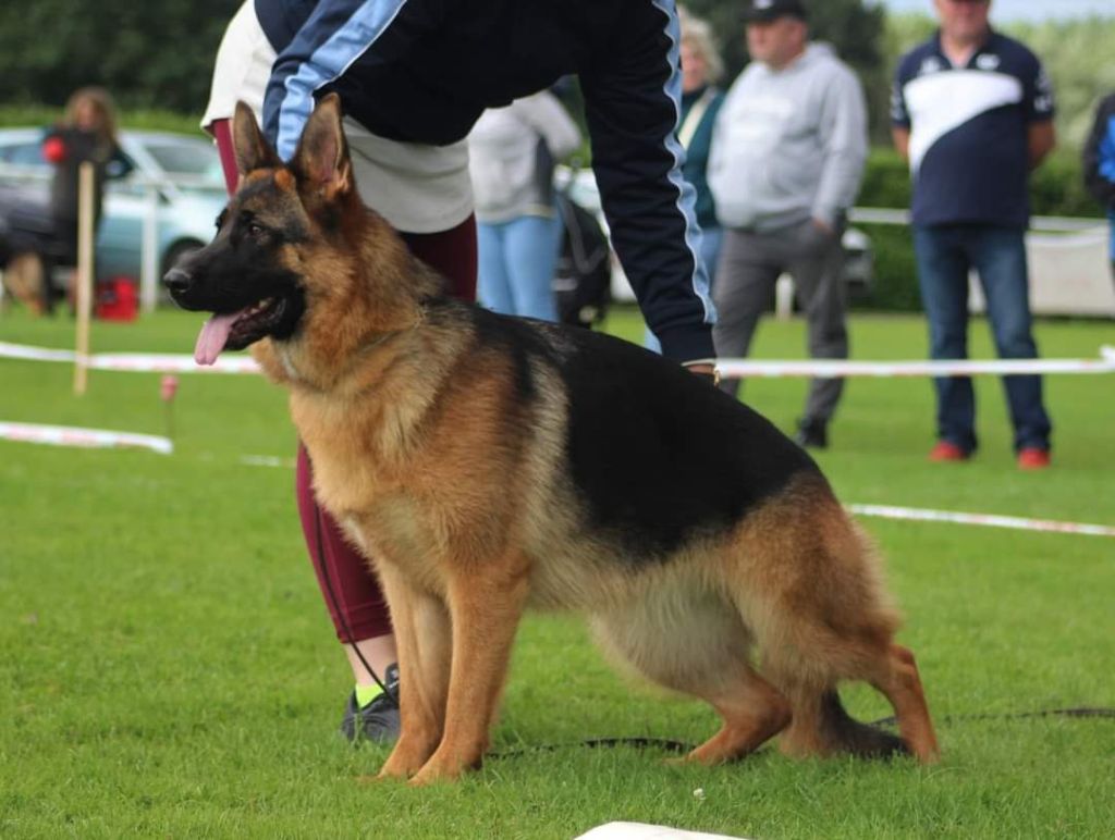 Publication : du clos de la gloriette Auteur : DE QUEZAC