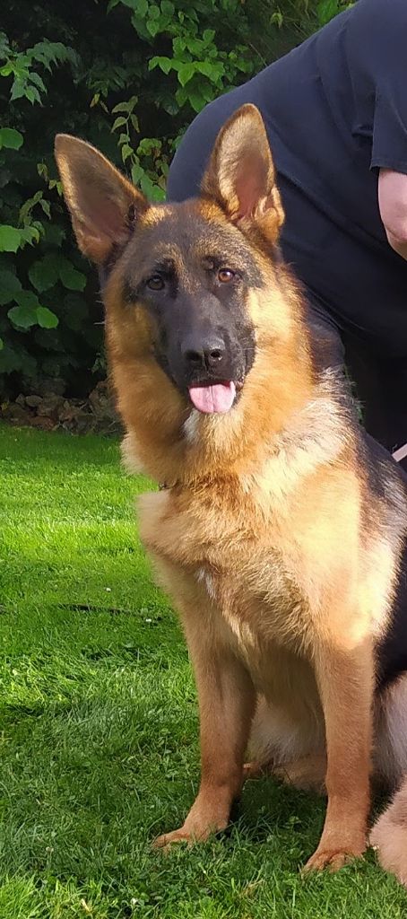 Publication : du clos de la gloriette Auteur : DE QUEZAC