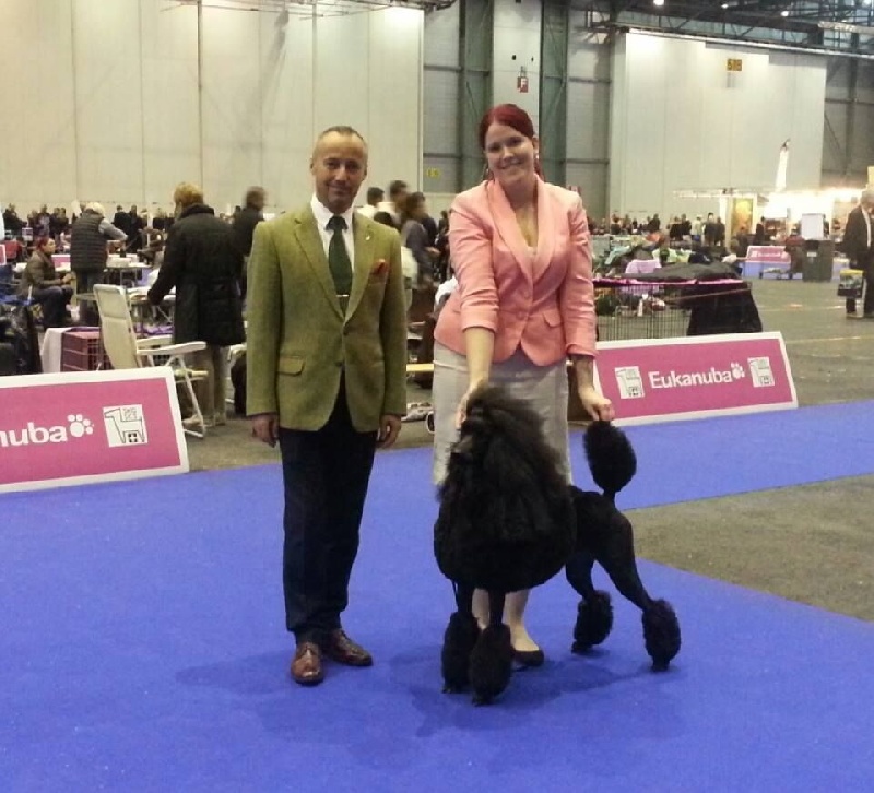 CH. Jouet Geisha de concubine - CAC CACIB BOB