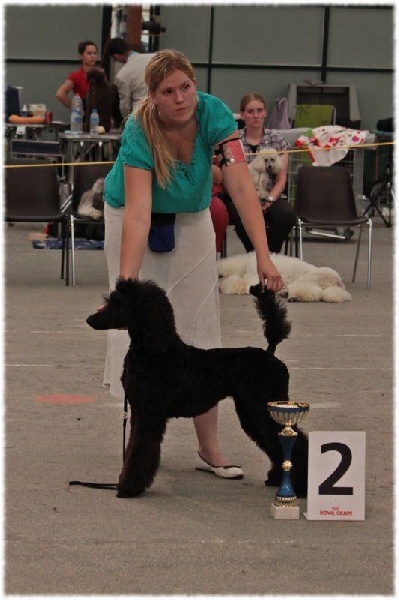 CH. Jouet Geisha de concubine - Reserve de Best in Show Baby