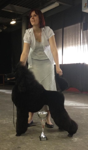 CH. Jouet Geisha de concubine - CACS CACIB Meilleur de race ( classe intermediaire)