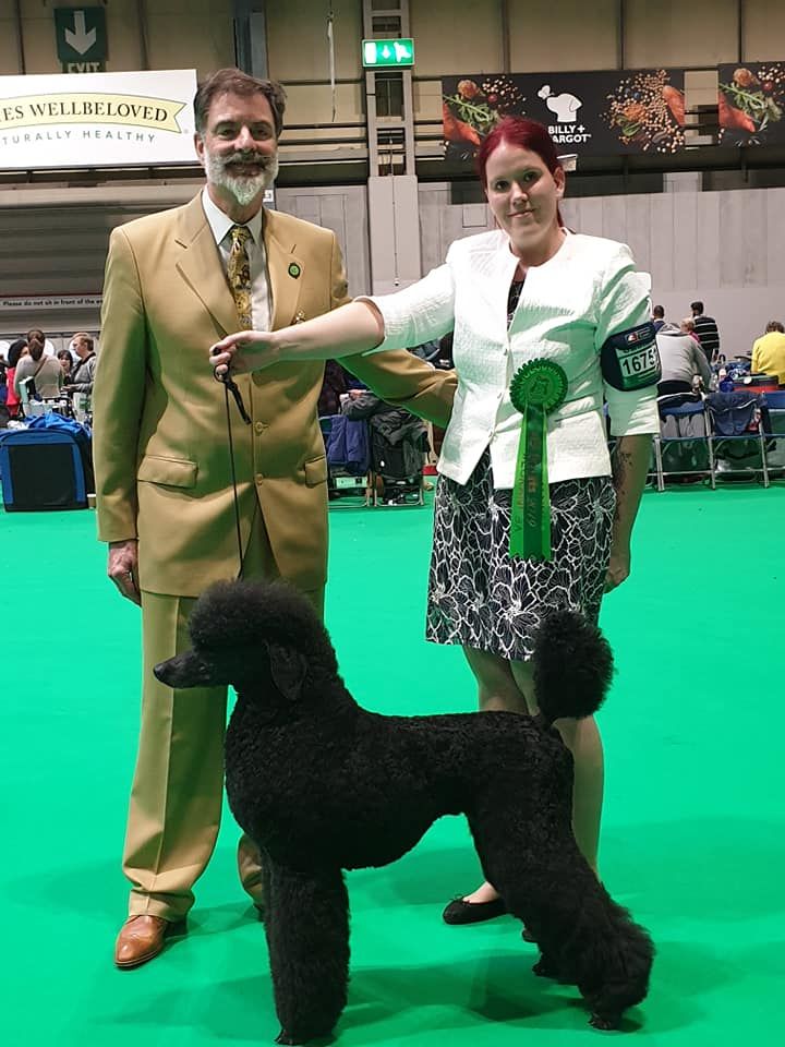 CH. Jouet Geisha de concubine - Meilleur Veteran de la race (BOB veteran)