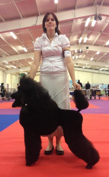 CH. Jouet Geisha de concubine - 1ere excellent CACS ( classe intermediaire)