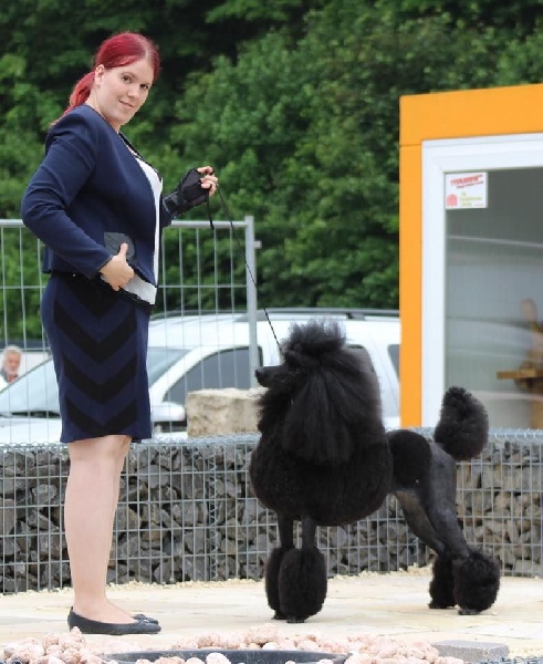 CH. Jouet Geisha de concubine - Cac VDH + CAC DPK + BOS