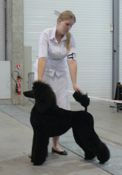 CH. Jouet Geisha de concubine - 1ere tres bon , classe jeune