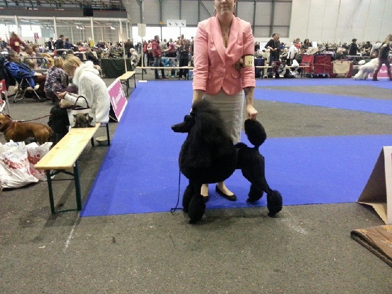 CH. Jouet Geisha de concubine - CAC CACIB BOS