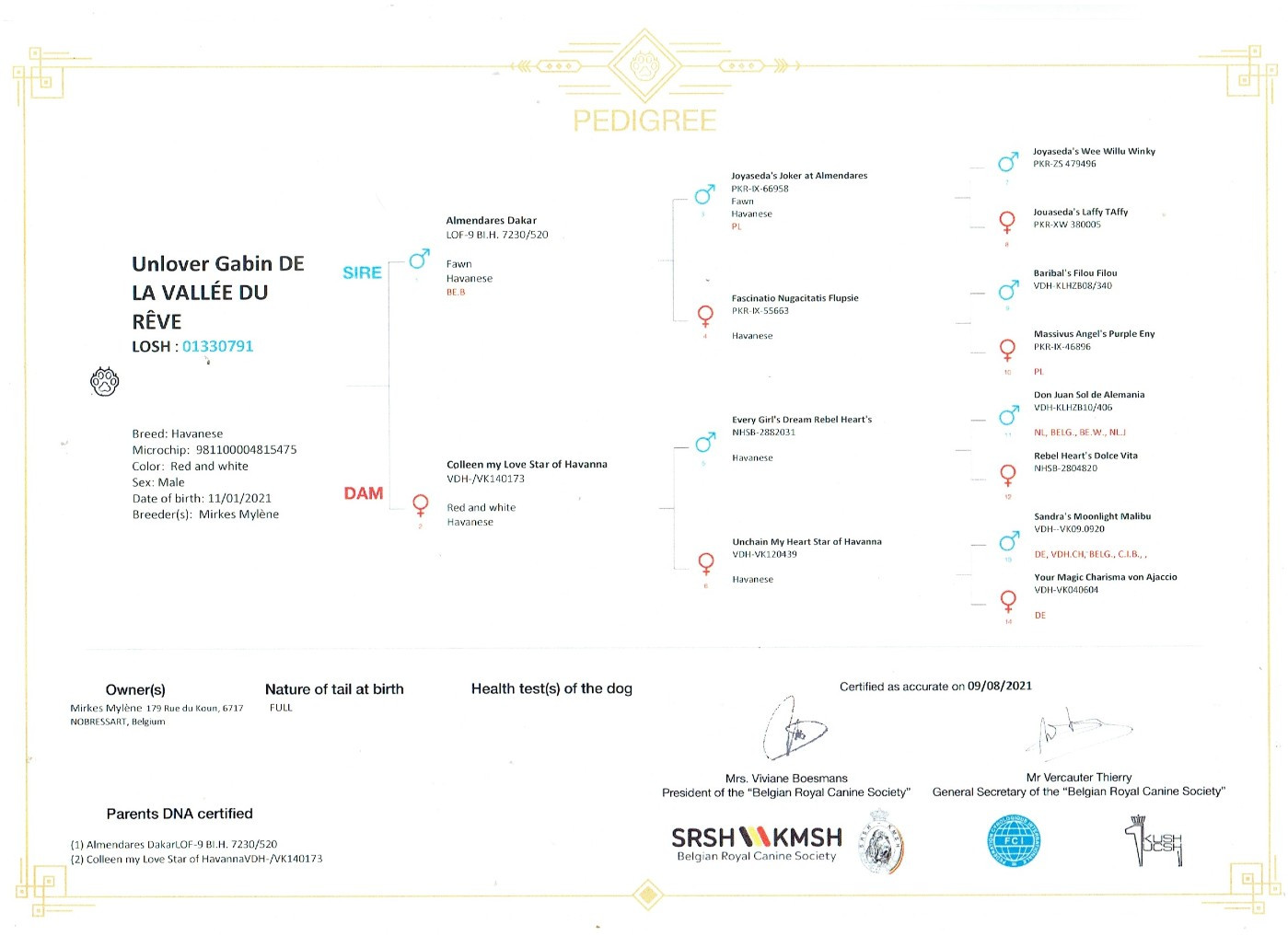 Publication : de la vallée du rêve Auteur : Mirkes Mylène