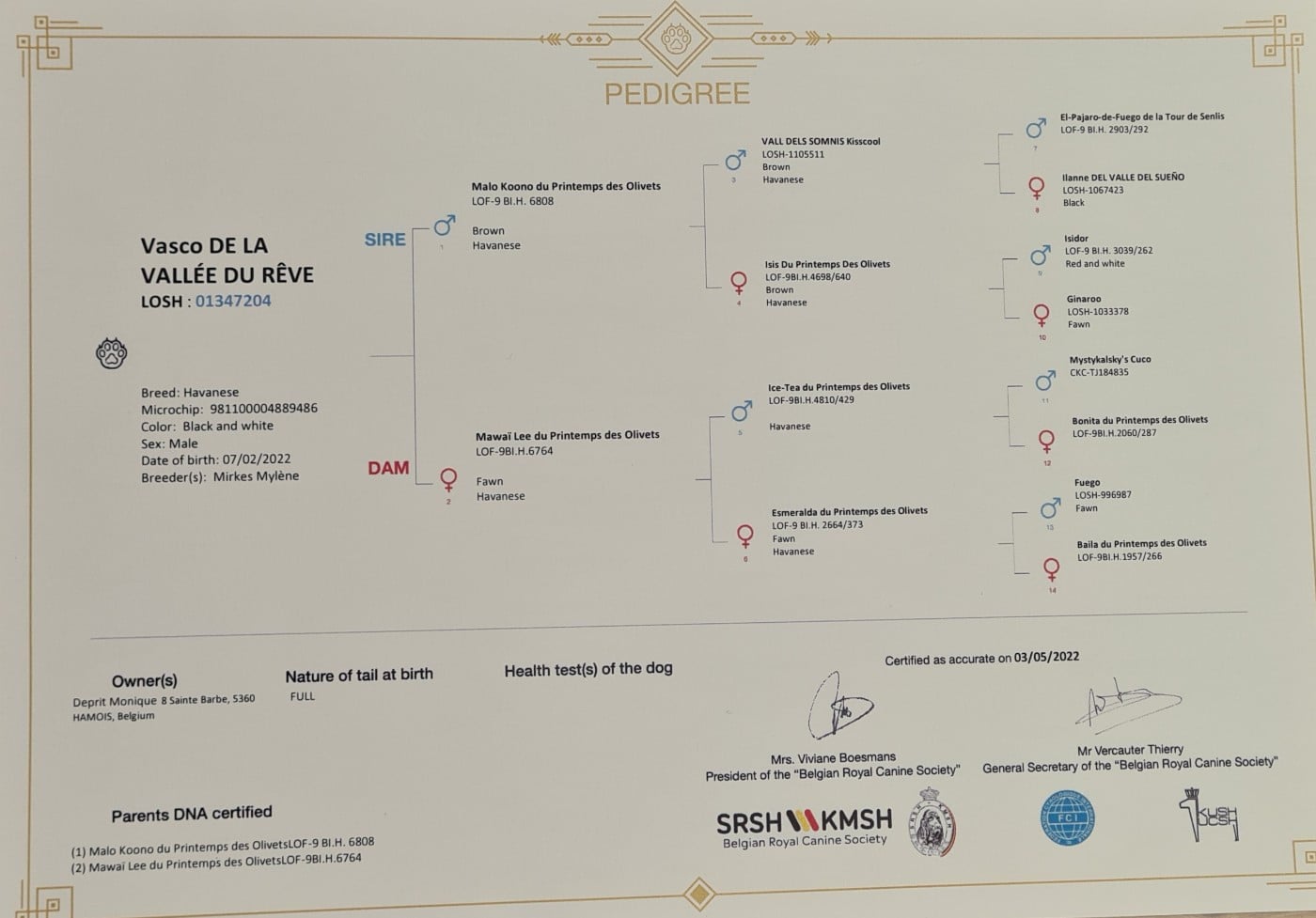 Publication : de la vallée du rêve Auteur : Mirkes Mylène