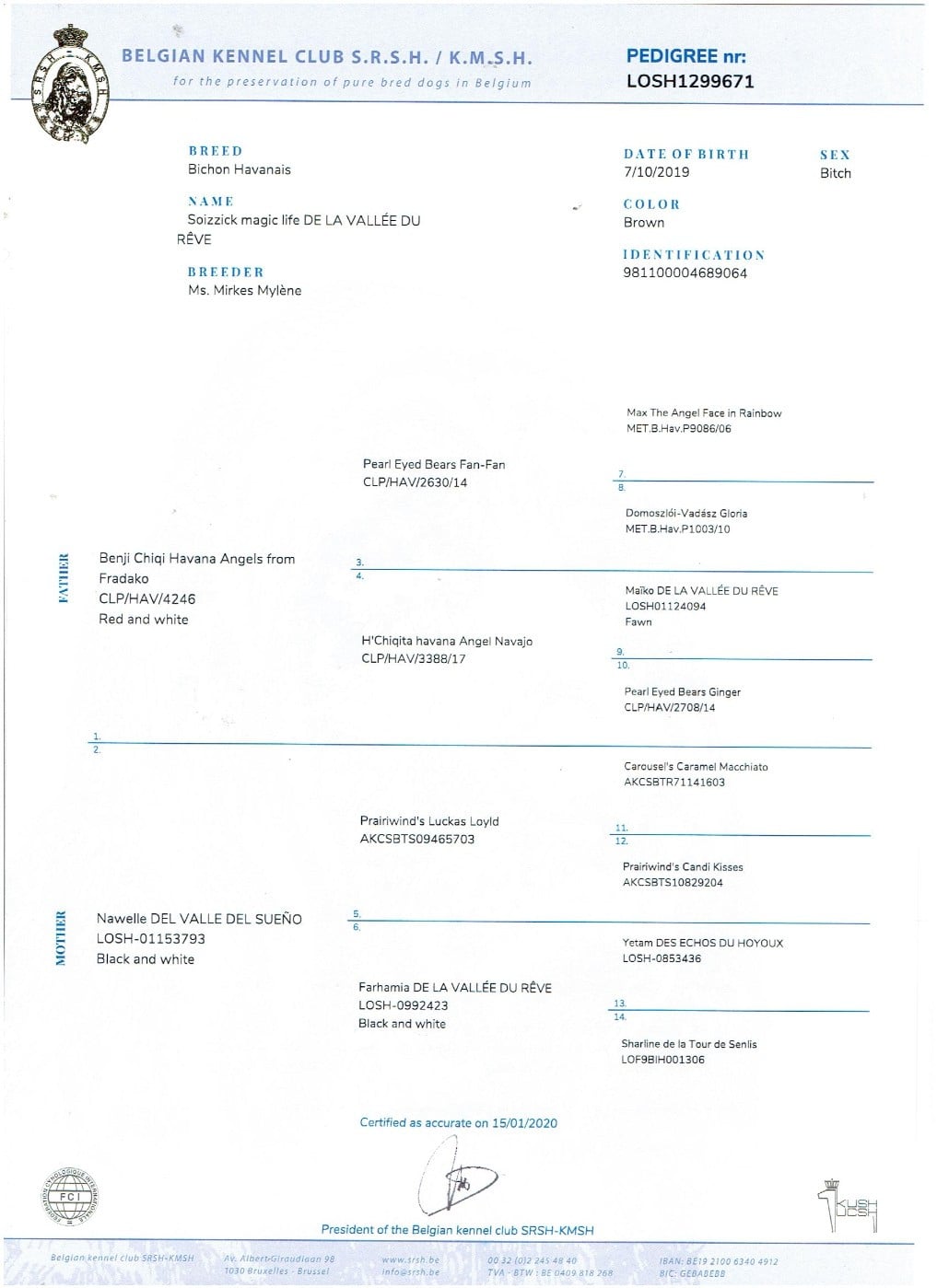 Soizzick magic life de la vallée du rêve