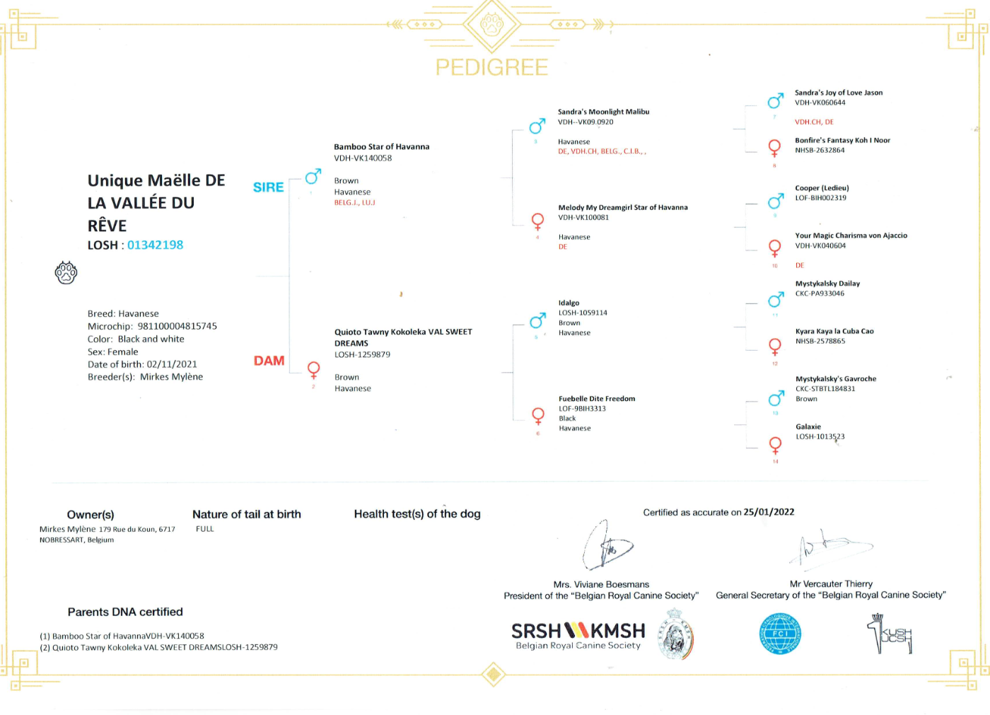 Unique maëlle de la vallée du rêve