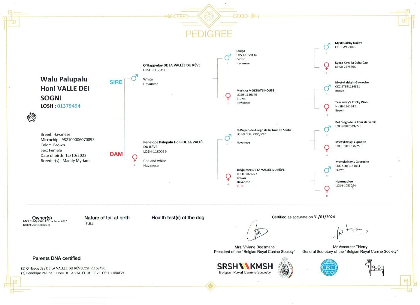 Walu palupalu honi valle dei sogni