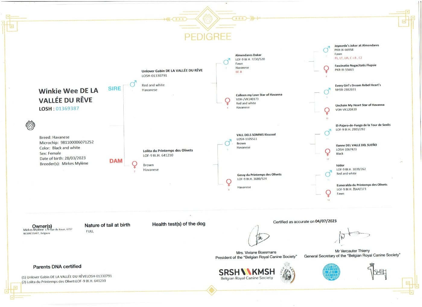 Winkie wee de la vallée du rêve