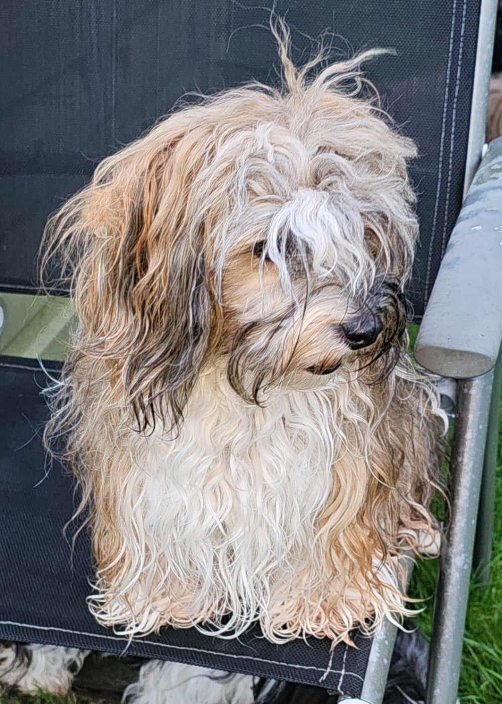 Xcelle o ke aloha de la vallée du rêve