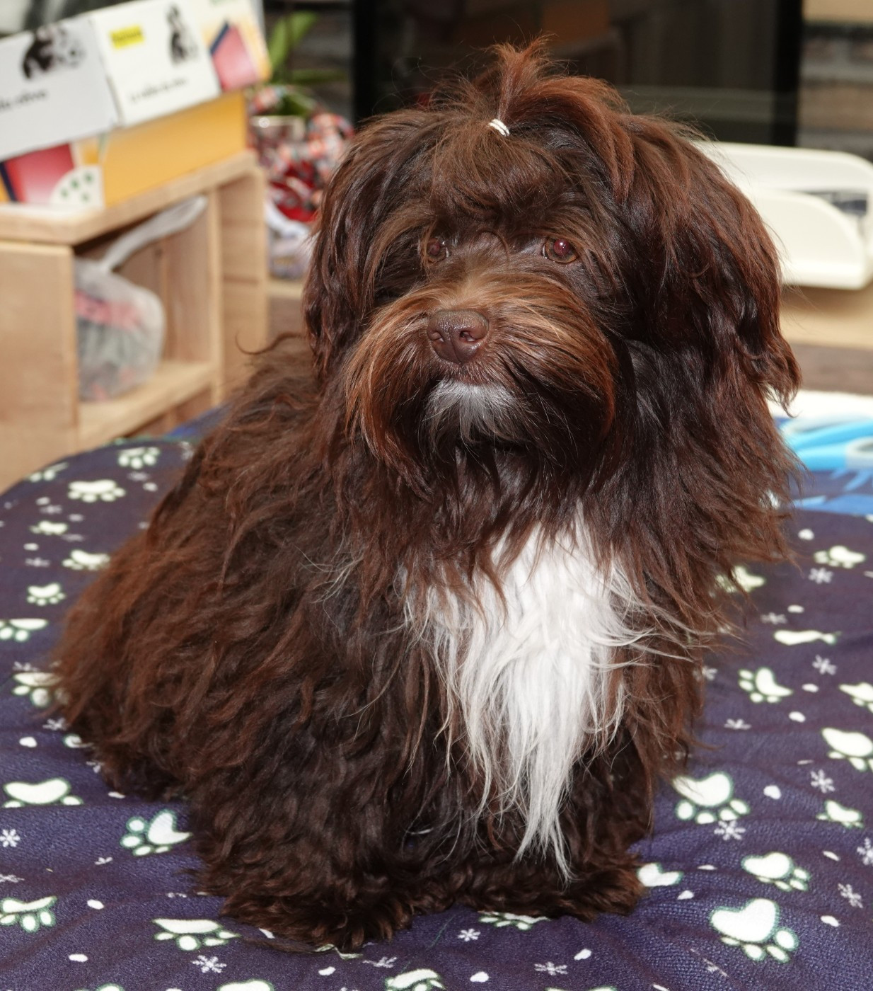 Publication : de la vallée du rêve Auteur : Mirkes Mylène