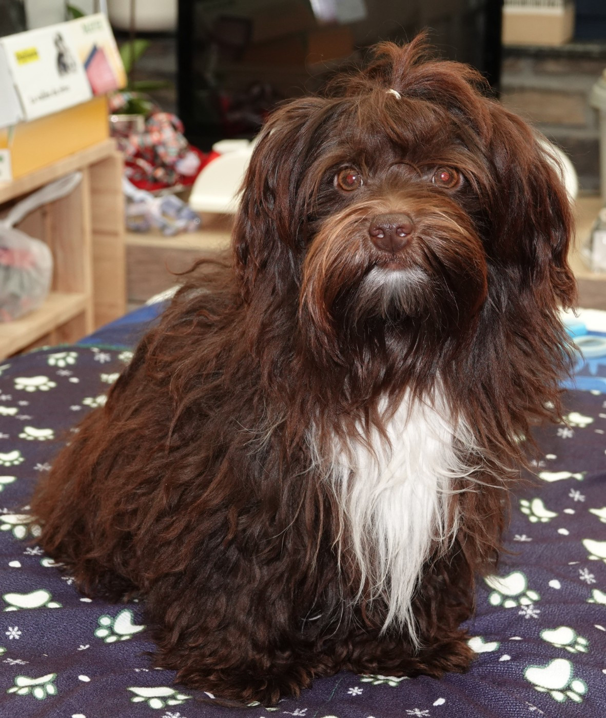 Publication : de la vallée du rêve Auteur : Mirkes Mylène