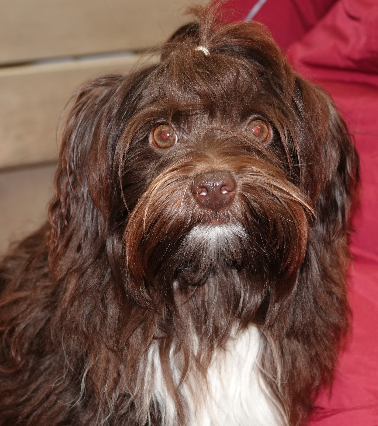 Publication : de la vallée du rêve Auteur : Mirkes Mylène