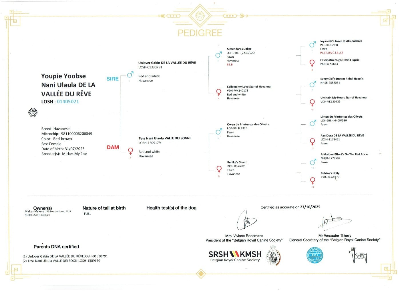 Youpie Yoobse Nani Ulaula de la vallée du rêve