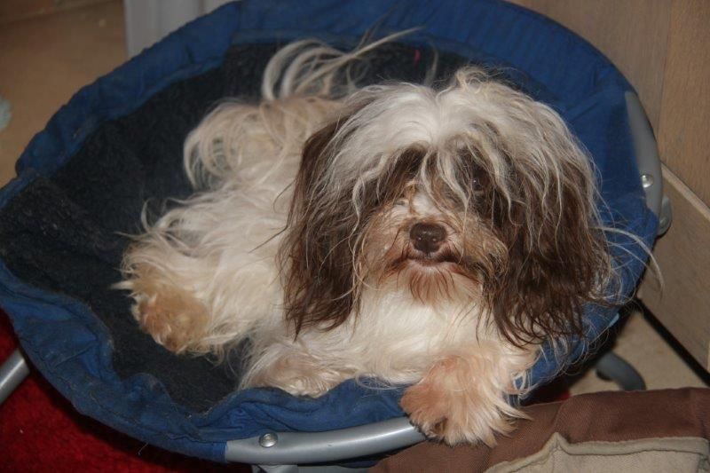 Neekee'mee de la vallée du rêve