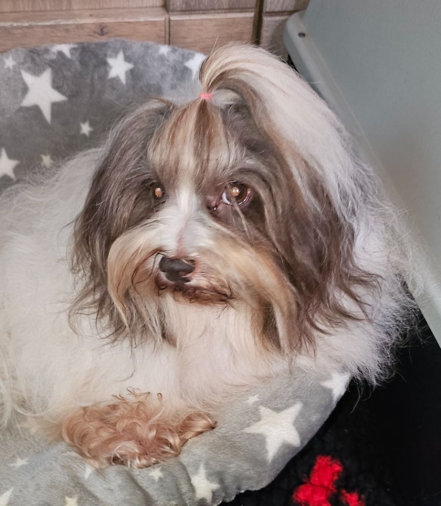 Neekee'mee de la vallée du rêve