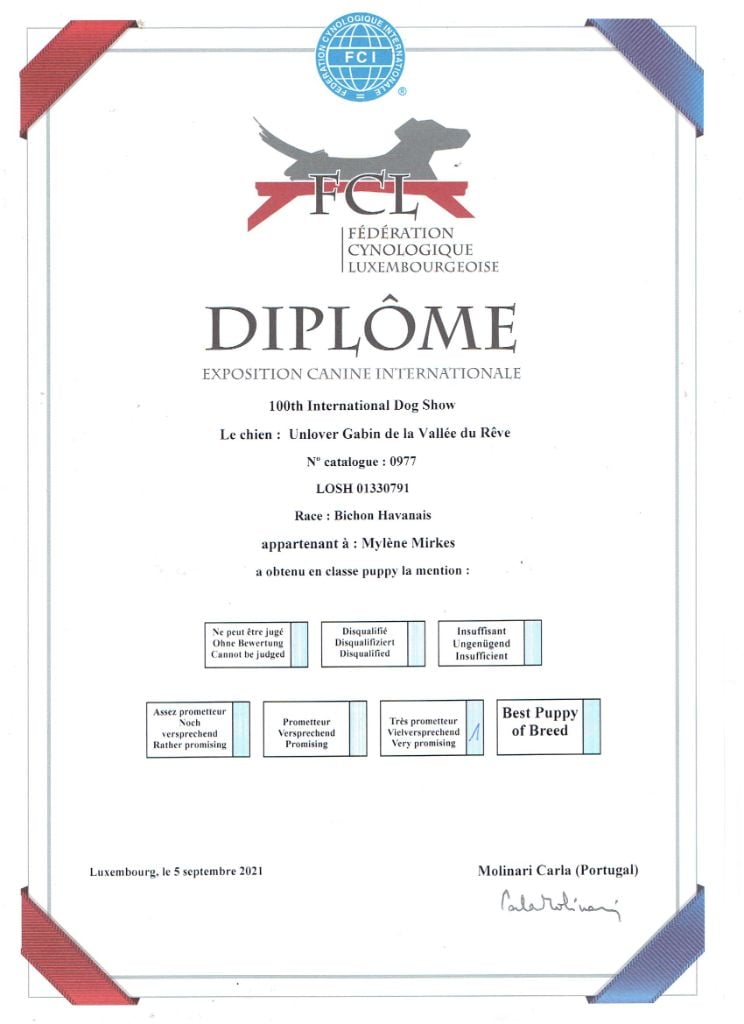 Unlover gabin de la vallée du rêve - 1 très prometteur