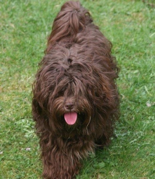 Kalooha de la vallée du rêve - 4 Excellent