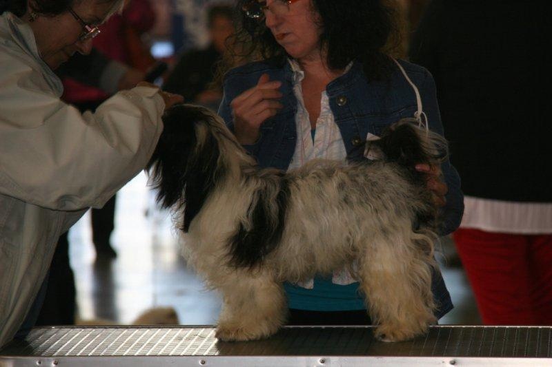 Galilée Du printemps des olivets - 1 Excellent Meilleur jeune