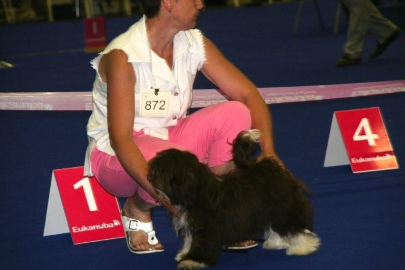 Elroy sous el-pajaro-de-fuego de la Tour de Senlis - Très prometteur Best Puppy