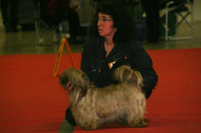 CH. Joly'jaimee de la vallée du rêve - Excellent 1 CACL