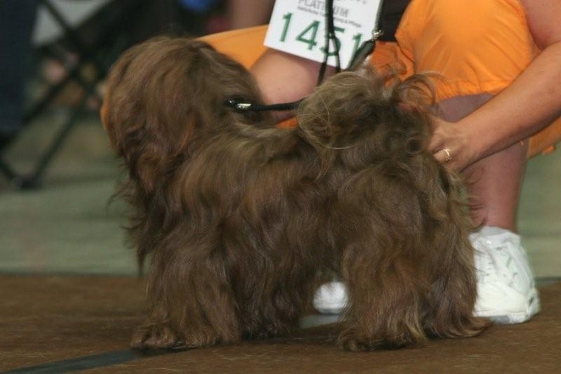 mystykalsky's Gavroche - très bon