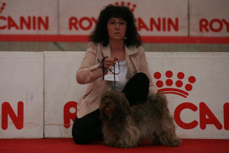 CH. Joly'jaimee de la vallée du rêve - 2 Excellent