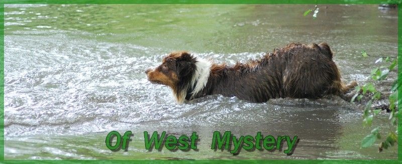 Publication : Of West Mystery  Auteur : Of  West  Mystery