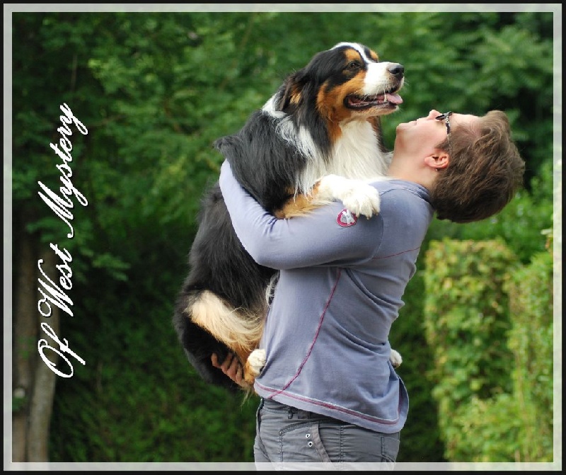 Publication : Of West Mystery Auteur : Of West Mystery