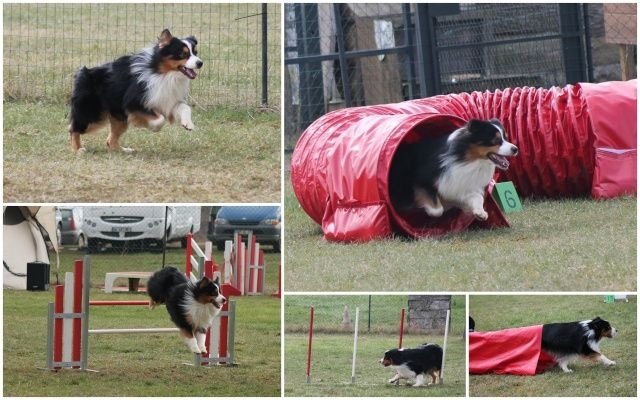 Publication : Of West Mystery Auteur : Of West Mystery