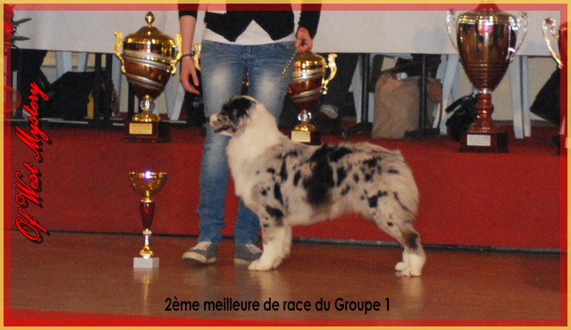 Hall of prophecies Of West Mystery